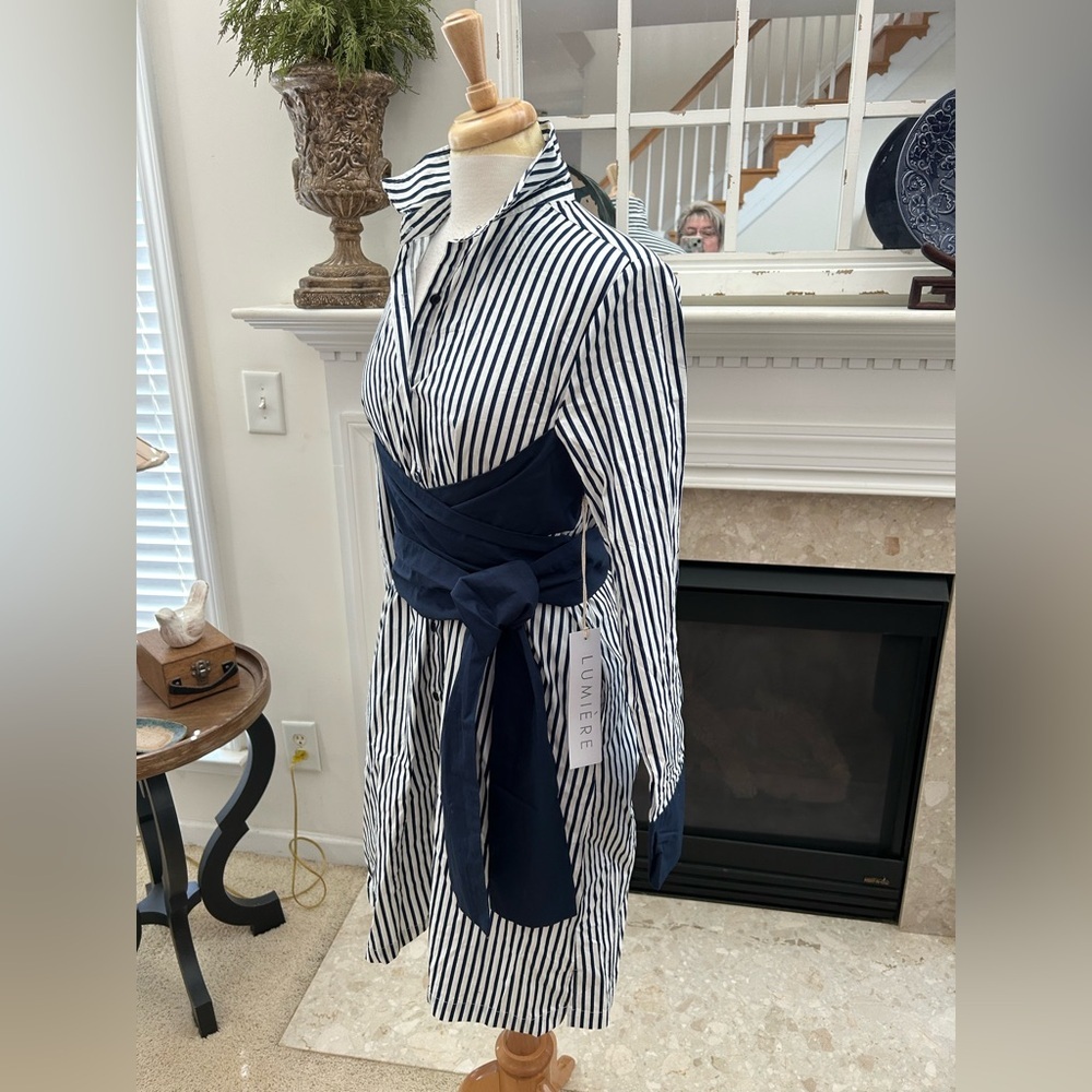 NWT Lumiere Striped Navy and White Cotton Shirt Dress - Picture 7 of 12